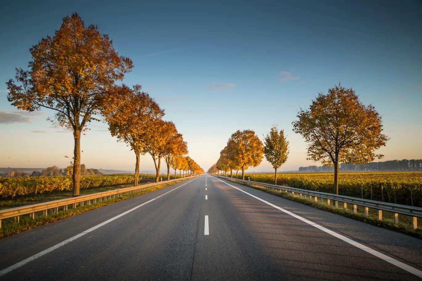 Highway Driving Lessons image